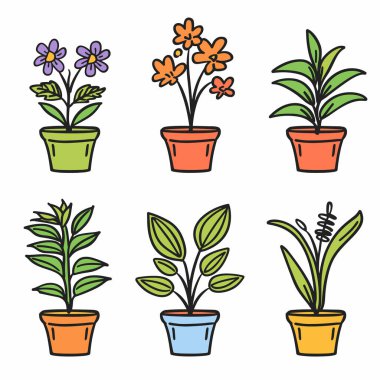 Altı saksı renkli vektör çizimi izole edilmiş beyaz arka plan. El yapımı ev bitkileri saksı koleksiyonu çizgi film tarzı ev dekorasyonu