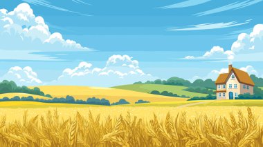 Kırsal kesimde altın buğday tarlaları hasat edilmeye hazır, yuvarlanan tepelerin arasında yuva yapmış, tüylü beyaz bulutların altında. Sakin kırsal sahne rüyaları davet ediyor