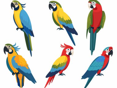 Colorful parrots vector illustration, showing different species perch. Exotic birds vibrant plumage, tropical wildlife graphics. Cartoon parrots, blue, yellow, red, green feathers, detailed beaks clipart