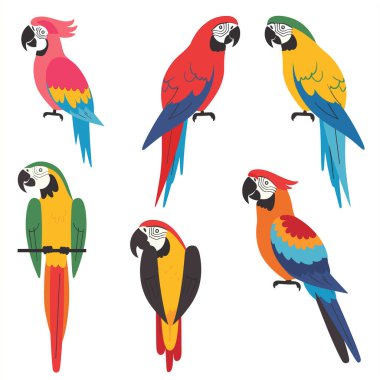 Six colorful parrots perched, distinctive feathers poses. Vibrant tropical birds, parrot collection portrays different species, plumage hues. Cartoon style parrots, ornithology theme, avian clipart