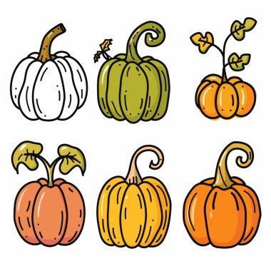 Altı renkli el yapımı balkabağı, eşsiz bir şekil tasarımı. Üst sıra beyaz, yeşil turuncu kabaklar, alt sıra turuncu sarı kabaklar. Vektör illüstrasyonu mükemmel sonbahar, Cadılar Bayramı, hasat festivali