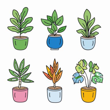 Altı ev bitkisi renkli tencereler elde çizilmiş. Kapalı alandaki bitkiler farklı şekillerde, yeşil yapraklar büyüklüğünde. Canlı tencere renkleri mavi, yeşil, pembe, gri, sarı sade dekor