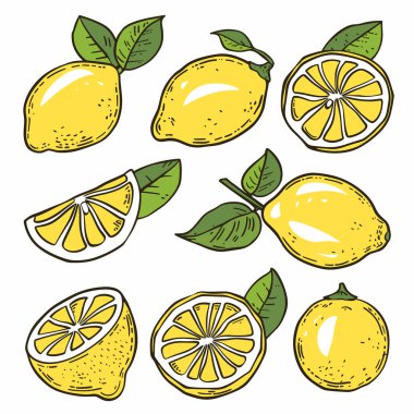 Lemon illustrations featuring whole lemons, halfcut lemons, lemon slices. Bright yellow citrus fruit green leaves, handdrawn style. Citrus limon drawings suitable recipe decorations, food blogs clipart