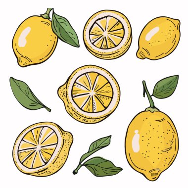 El yapımı limonlar, dilimler, yapraklar. Canlı sarı turunçgiller, yeşil yapraklar. Sketchstyle limon grafikleri, tamamen yarı yarıya, izole edilmiş beyaz arkaplan