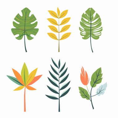 Six colorful tropical leaves vector illustrations. Leaves feature different shapes shades representing various tropical plants. Ideal botanical, naturethemed designs educational graphics clipart