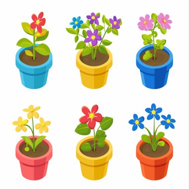 İzole edilmiş beyaz arka plana karşı sergilenen altı renkli saksı çiçeği. Çiçek açan bitkiler kırmızı, mavi, pembe, çiçekler, yeşil yapraklar kırmızı, mavi, kaplar. Çiçekler sıralanmış, üç sıra.