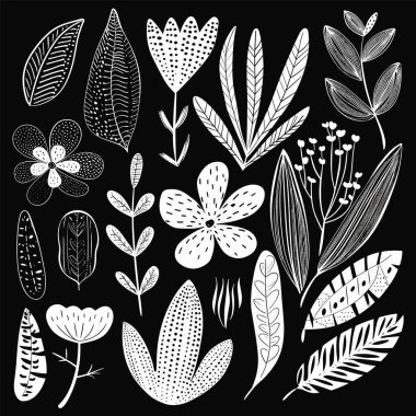 Handdrawn botanical elements pattern black white. Monochrome floral collection diverse leaves flowers. Decorative foliage blooming graphic design isolated black background clipart