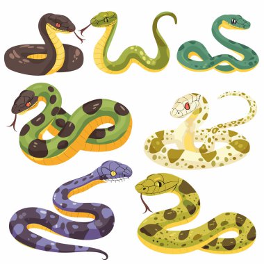 Koleksiyon çizgi film yılanları, çeşitli türler, renkli sürüngenler, dost canlısı yılan karakterleri, düz tasarım. Yılan desenleri farklı, izole edilmiş beyaz arka plan, sevimli yılan çizimleri. Çeşitli