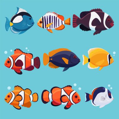Renkli tropikal balık vektör çizimi, çeşitli türler yüzüyor. Parlak renkli deniz hayvanları, okyanus yaşamı grafik tasarım elementi. Çizgi film, tuzlu su balığı, akvaryum, deniz hayvanları sanat eseri.