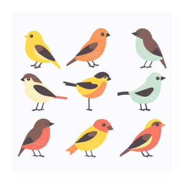 Dokuz renkli kuş minimalist tarzda resmedilmiş, kuşun eşsiz bir kombinasyon kombinasyonu vardır sarı, turuncu, kahverengi, deniz mavisi gibi. İllüstrasyon uygun kuş temalı tasarım hakkında eğitici materyal