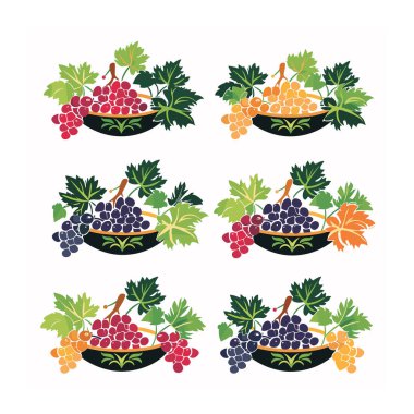 Renkli üzüm kümeleri yeşil yaprak kaseleri, olgun üzümler, illüstrasyonlar. Taze üzüm hasadı renkli meyve seti izole edilmiş beyaz arka plan, üzüm teması tasarımı. Altı çeşit üzümlü.