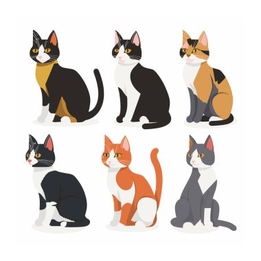 Altı çizgi film kedisi izole edilmiş beyaz arka planda çeşitli palto desenleri sunuldu, kedi siyah, beyaz, turuncu, gri gibi eşsiz kombinasyon renkleri sergiliyor. Kediler farklı duruşlar gösterir.