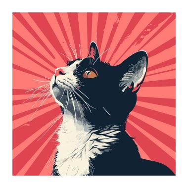 Black white cat looking upwards, artistic vector illustration, red radiating background. Closeup feline face, expressive eyes, stylized graphic, domestic pet portrait clipart