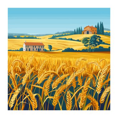 Altın buğday tarlası olgunlaşmış ekinler hasat zamanı, mavi gökyüzünün altındaki verimli tarım arazisi, kırsal tarım manzarası. Yuvarlanan tepelerin arasına yuva yapmış kır evleri, sakin tarım manzarası, cennet gibi