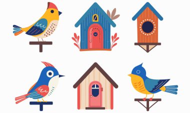 Renkli çizgi film kuşları çeşitli kuş evleri tünedi. Yaratıcı düz tasarım grafikleri temalı projeler. İdeal bahçe meraklıları