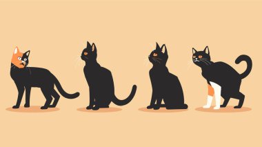 Dört çizgi film kedisi bej arkaplan pozu veriyor, bir tanesi de siyah kedilerin önünde duran turuncu siyah kedi. Kedi karakterleri farklı kürk renkleri yürüyorlar, oturuyorlar, meraklılar. Eşsiz turuncu