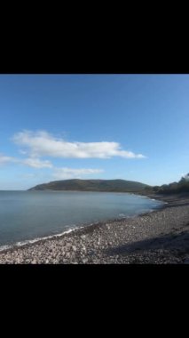 Porlock Bataklığı 'nda uzun bir telefon kablosunda oturan bir sürü kuş.