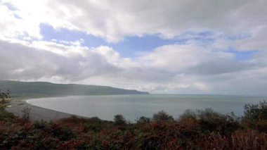 Porlock Bataklığı 'nda uzun bir telefon kablosunda oturan bir sürü kuş.