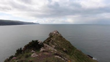 Porlock Bataklığı 'nda uzun bir telefon kablosunda oturan bir sürü kuş.