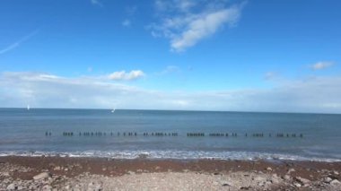 Porlock Bataklığı 'nda uzun bir telefon kablosunda oturan bir sürü kuş.