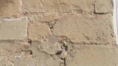 Siyah ve Turuncu Kelebek Uçuyor taş duvardan