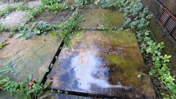 水滴从屋顶掉到花园的地板上 改变了地面的颜色 周围长满了青草 — 图库视频影像