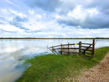 Port Meadow, Oxford, İngiltere - Thames Nehri 'nin şiddetli yağmurdan sonra taşması nedeniyle sel altında kalan 11 Şubat 2024 Liman Çayırı
