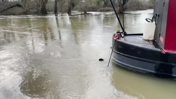 Port Meadow Oxford Reino Unido Feb 2024 Inundación Agua River — Vídeos de Stock