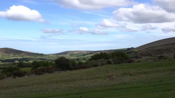 Haytor Rocks Dartmoor Ünlü Simgesi Devon Ngiltere Dartmoor Doğu Kıyısında — Stok video