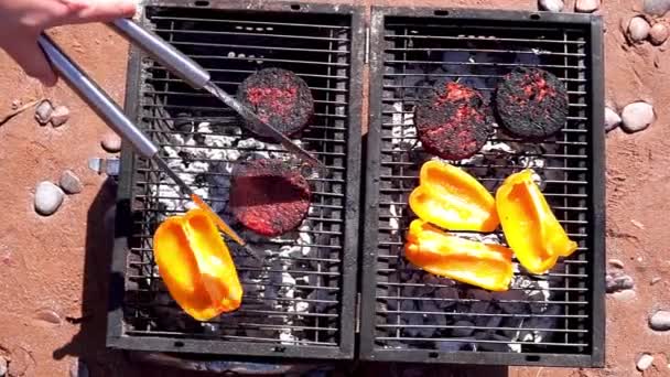 Barbecue Sulla Spiaggia Sabbia Con Gustosi Hamburger Vegani Verdure — Video Stock