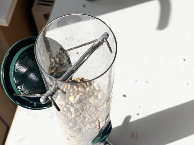 Kuşları beslemeye hazır, güneşli bir yüzeye yerleştirilmiş çeşitli karışık kuş tohumlarıyla dolu yeşil bir tohum dağıtıcısının ayrıntılı bir görüntüsü..