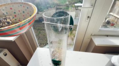 Bir kuş yemliğini fıstıkla doldurmak, tohumları bahçeyle karıştırmak, doğa ve vahşi yaşama odaklanmak. Parlak renkli kaseler neşe katar.