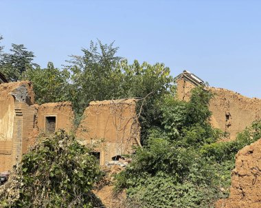 Yoğun yeşil bitki örtüsüyle çevrili terk edilmiş bir çamur tuğlası yapısı çürümeyi ve doğanın ıslah edilişini resmediyor. Parlak mavi gökyüzü, yeryüzü kalıntıları ve gelişen bitki hayatıyla çelişiyor..