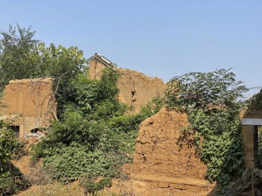 Yoğun yeşil bitki örtüsüyle çevrili terk edilmiş bir çamur tuğlası yapısı çürümeyi ve doğanın ıslah edilişini resmediyor. Parlak mavi gökyüzü, yeryüzü kalıntıları ve gelişen bitki hayatıyla çelişiyor..