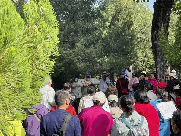 Pekin, Çin - 19 Ekim 2024 Bir grup insan Jingshan parkında şarkı söylemek için dışarıda toplandı. Sahne yemyeşil bir ormanda geçiyor. Doğadaki birlik, neşe ve toplum hislerini çağrıştırıyor..