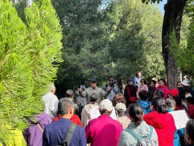 Pekin, Çin - 19 Ekim 2024 Bir grup insan Jingshan parkında şarkı söylemek için dışarıda toplandı. Sahne yemyeşil bir ormanda geçiyor. Doğadaki birlik, neşe ve toplum hislerini çağrıştırıyor..