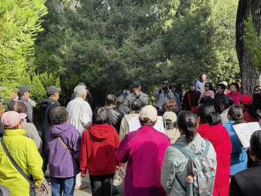 Pekin, Çin - 19 Ekim 2024 Bir grup insan Jingshan parkında şarkı söylemek için dışarıda toplandı. Sahne yemyeşil bir ormanda geçiyor. Doğadaki birlik, neşe ve toplum hislerini çağrıştırıyor..