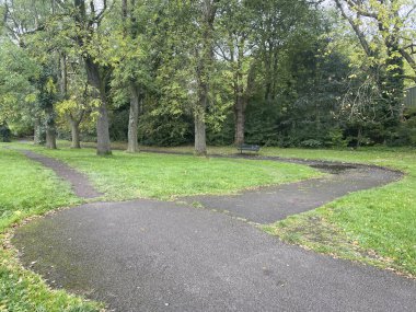 Etrafı yemyeşil ağaçlarla çevrili iki patika. Rahatlama, doğa yürüyüşleri ve sakin doğa deneyimleri için idealdir. Huzuru ve doğal güzelliği vurguluyor..