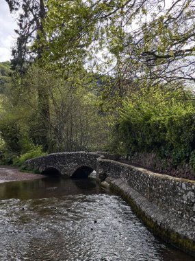 Dunster UK, 15 Mart 2025. Dunster, Somerset, İngiltere 'deki Gallox Köprüsü 15. yüzyıldan kalma. Avill nehrinin üzerinde iki kavis var. Aslen Darağacı Köprüsü olarak biliniyordu.