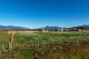 Ultima Esperanza fiyordunda çiftlik, Puerto Natales, Şili