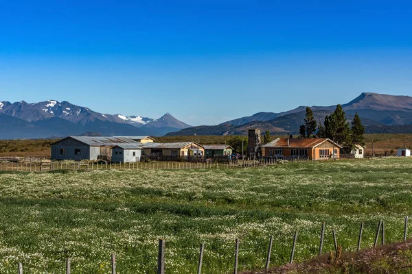 Ultima Esperanza Fiyordunda Çiftlik Puerto Natales Şili — Stok fotoğraf