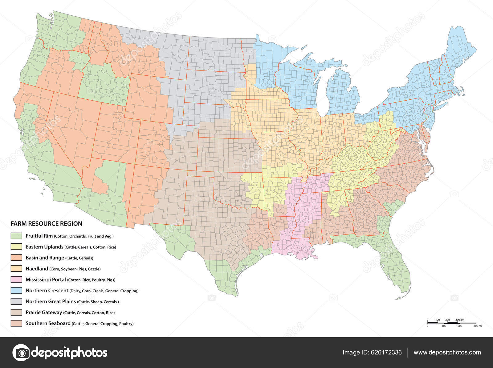 Estados Unidos Regiões Censitárias Divisões Mapa Político Definição Região  Amplamente imagem vetorial de Furian© 362035740