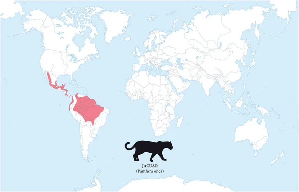 Kaart Van Verspreiding Habitat Van Jaguar — Stockvector