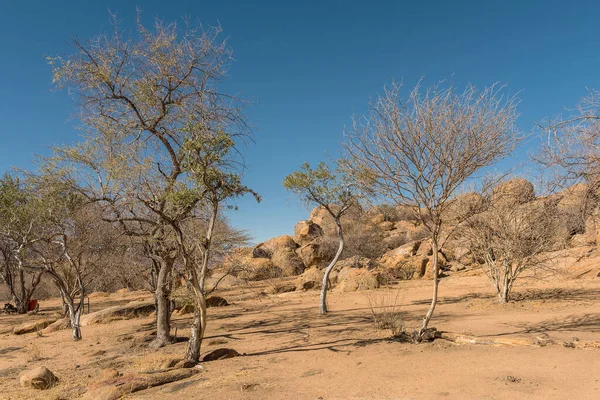 Landscape Erongo Mountains Namibia —  Fotos de Stock