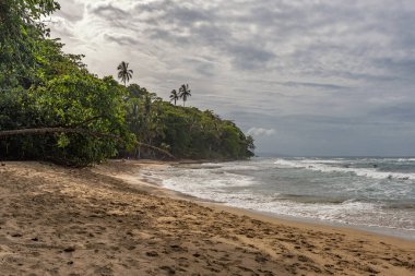 Caribbean beach near Puerto Viejo, Costa Rica