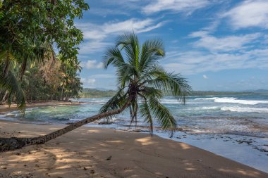Caribbean beach near Puerto Viejo, Costa Rica