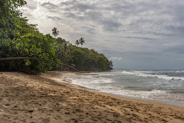Caribbean Beach Puerto Viejo Costa Rica — Stock Photo, Image