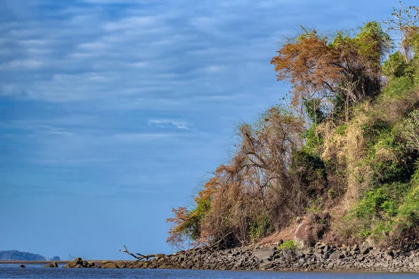 Река Чирики Перед Входом Залив Чирики Панама — стоковое фото