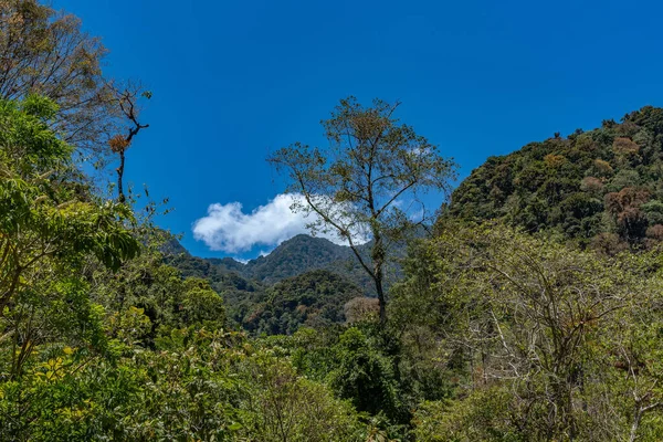 Paisaje Parque Nacional Volcan Baru Chiriqui Panamá —  Fotos de Stock