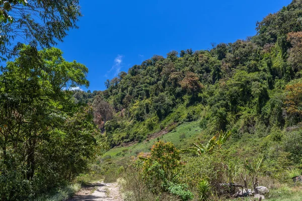 Krajobraz Parku Narodowym Volcan Baru Chiriqui Panama — Zdjęcie stockowe